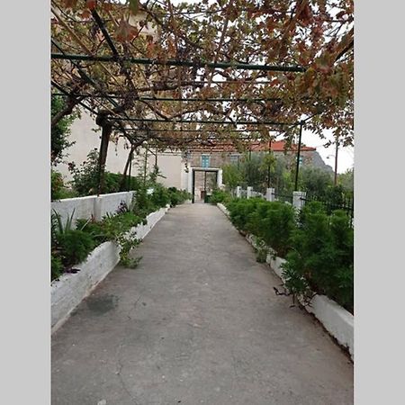 Afroditis'S & Makis'S Apartment Λεωνίδιο Εξωτερικό φωτογραφία