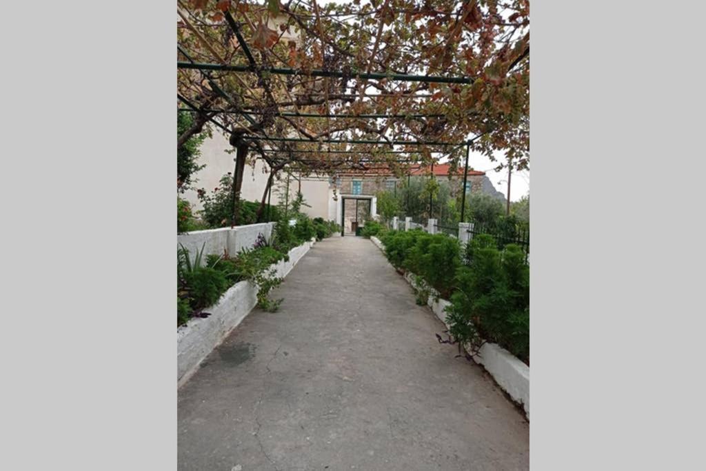 Afroditis'S & Makis'S Apartment Λεωνίδιο Εξωτερικό φωτογραφία