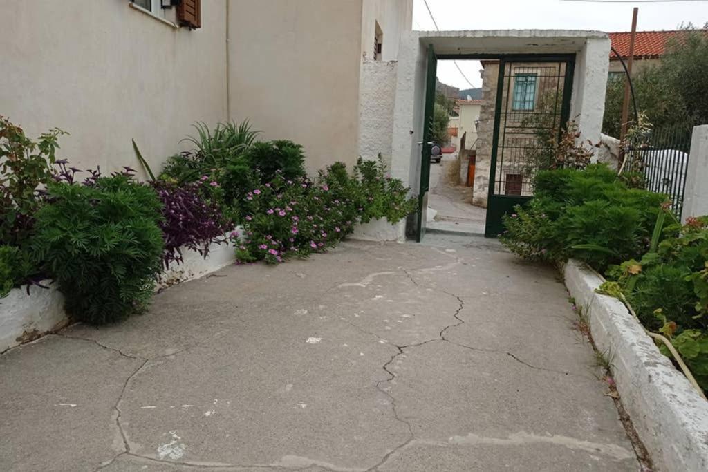 Afroditis'S & Makis'S Apartment Λεωνίδιο Εξωτερικό φωτογραφία