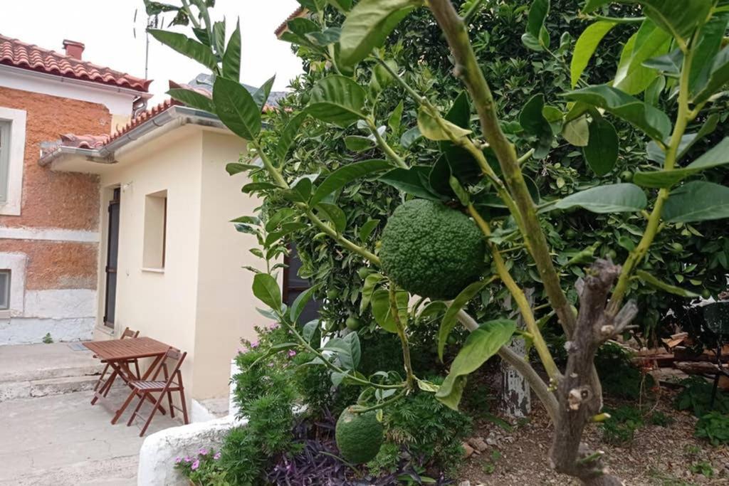 Afroditis'S & Makis'S Apartment Λεωνίδιο Εξωτερικό φωτογραφία